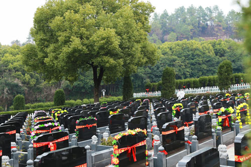 江岸区福恩园陵园墓地价格公墓咨询处-福恩殡葬服务中心