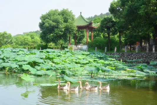 黄陵庙陵园