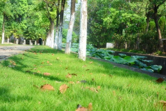 盘龙城九峰寿安林苑墓地价格公墓咨询处-九峰寿安陵园殡葬服务中心